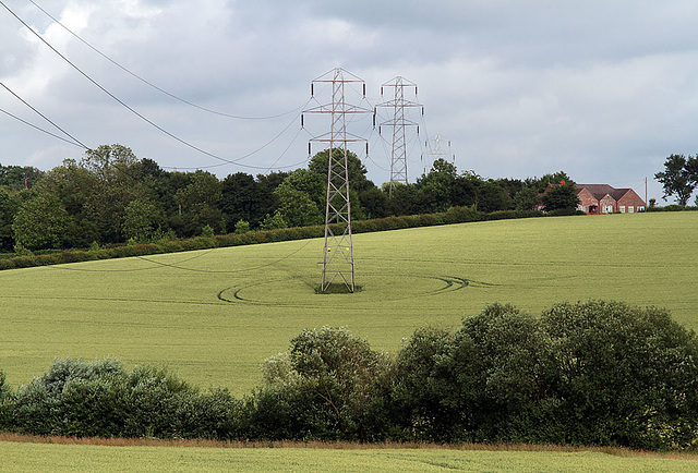 Crop circle