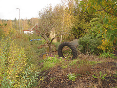 Pneu décoratif parmi la verdure suédoise / Tyre among the swedish  greenery - Båstad  /  Suède - Sweden.   21-10- 2008.