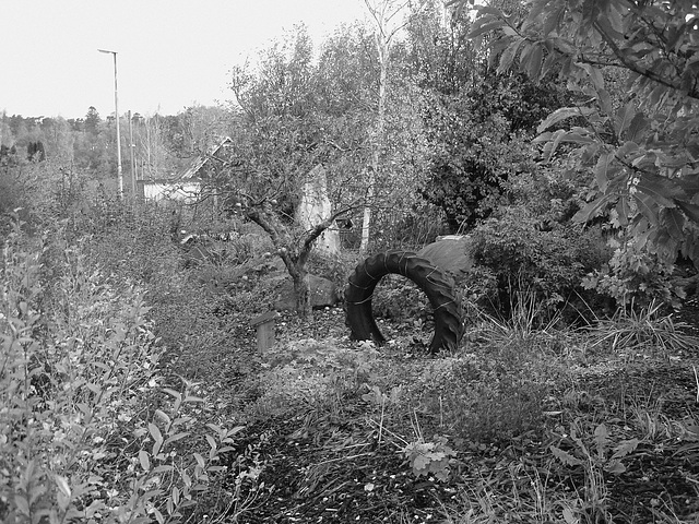 Pneu décoratif parmi la verdure suédoise / Tyre among the swedish  greenery - Båstad  /  Suède - Sweden.   21-10- 2008. N & B