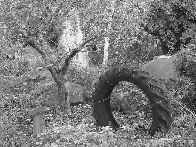 Pneu décoratif parmi la verdure suédoise / Tyre among the swedish  greenery - Båstad  /  Suède - Sweden.   21-10- 2008.  N & B