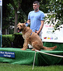 32a.PrideOfPetsFunDogShow.Dupont.WDC.21June2009