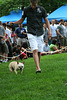 34.PrideOfPetsFunDogShow.Dupont.WDC.21June2009