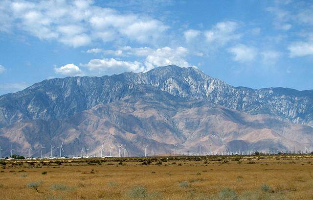 Mt. San Jacinto (0346)