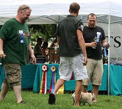 42a.PrideOfPetsFunDogShow.Dupont.WDC.21June2009