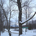 Montagne majestueuse et décor hivernal du Québec.  /   Majestic mountain and winter Quebec  scenery  -  Février 2008.- Chemin de la Pointe-Giblaltar