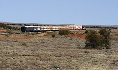 Containers in the outback