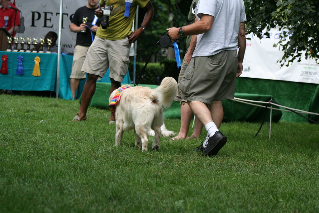 46.PrideOfPetsFunDogShow.Dupont.WDC.21June2009