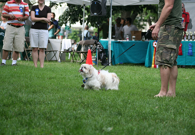 53.PrideOfPetsFunDogShow.Dupont.WDC.21June2009