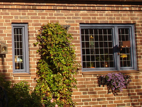 Porte et fenêtres avec un beau banc tout en fleurs /  Door-windows and flowery bench wonder -  Laholm / Suède - Sweden.  25 octobre 2008