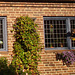 Porte et fenêtres avec un beau banc tout en fleurs /  Door-windows and flowery bench wonder -  Laholm / Suède - Sweden.  25 octobre 2008