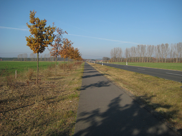 Radweg Luckenwalde - Trebbin bei Liebätz