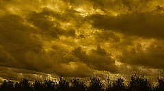 nuages sur épines