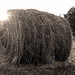 Bale Of Hay