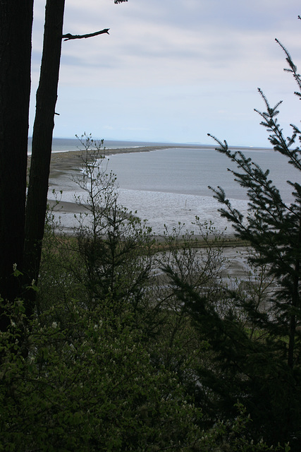 Dungeness Spit