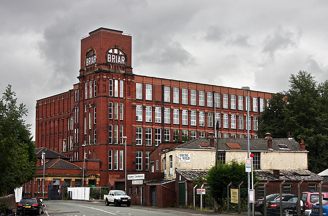 Briar Mill