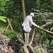 Negotiating a Borneo Bridge