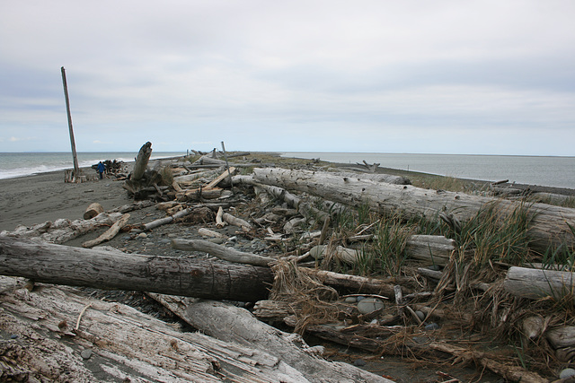 Dungeness Spit