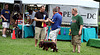 03.PrideOfPetsFunDogShow.Dupont.WDC.21June2009