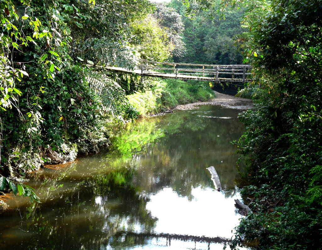 That Bridge is not for the Nervous!