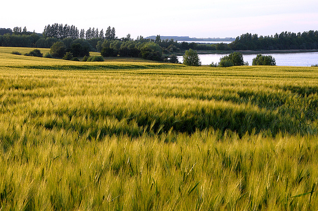 Ostsee bei Wismar