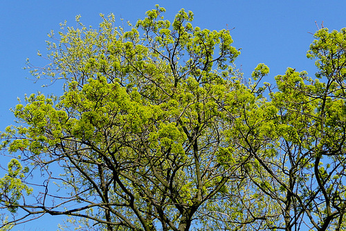 Ostern 2009 - Schloßpark Nöthnitz