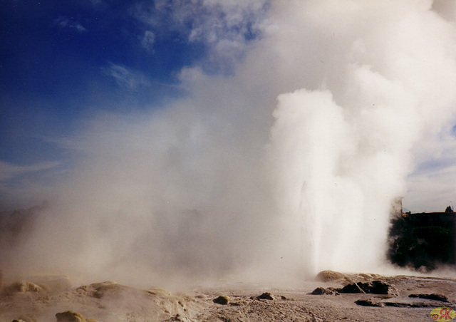 1997-07-16 81 Novzelando, gejsero apud Rotorua, norda insulo