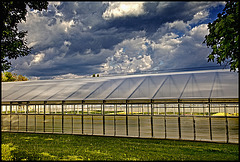 a greenhouse in graz......