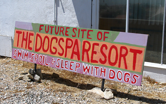 The DogSpa Resort (0161)
