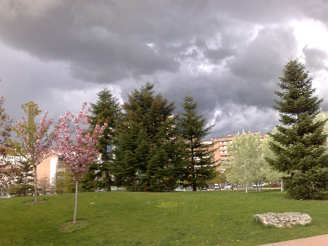 Pamplona: parque de Yamaguchi.