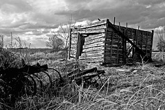 Old Cabin