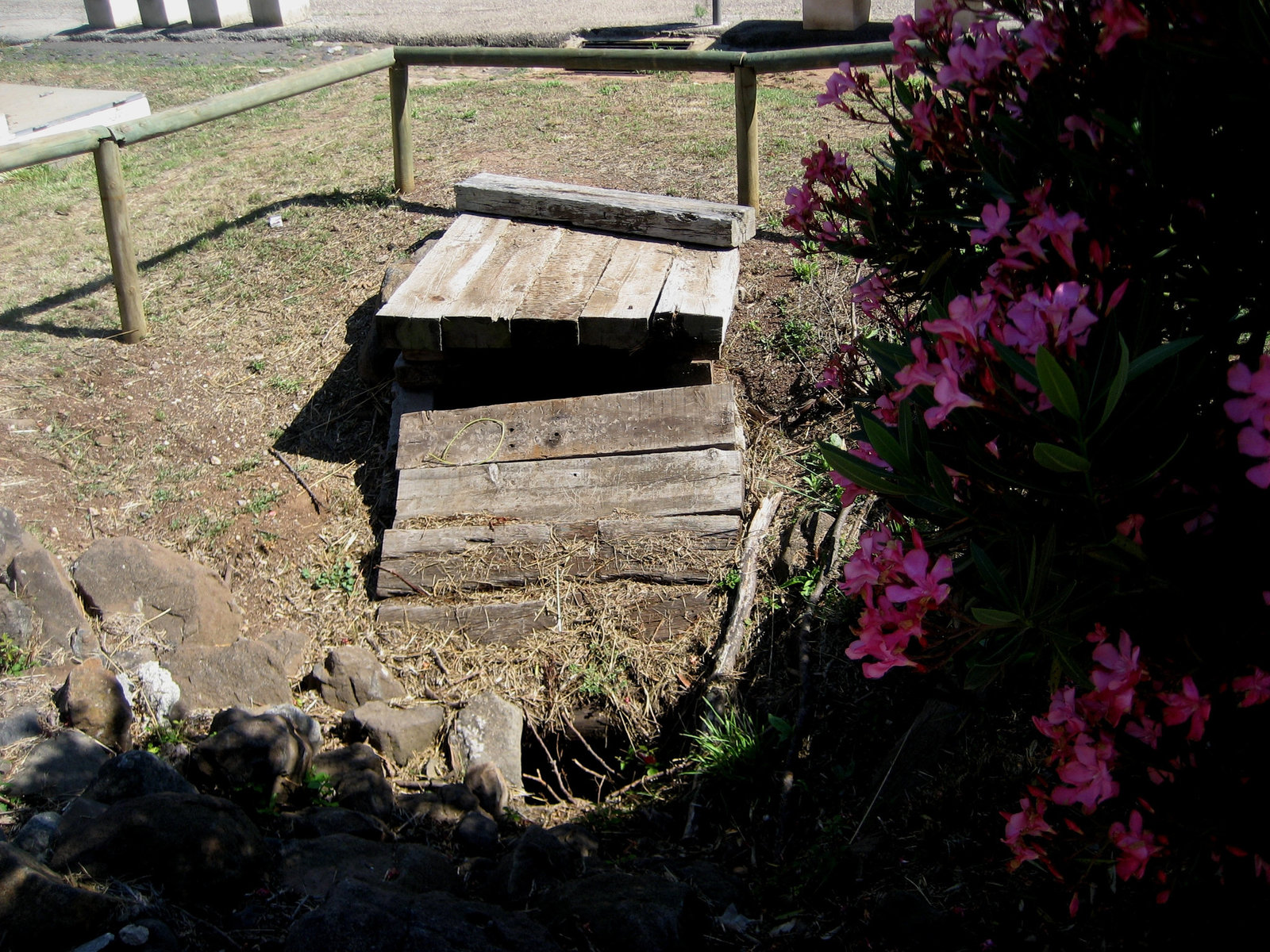 Lisboa, Park of Monsanto, critical point