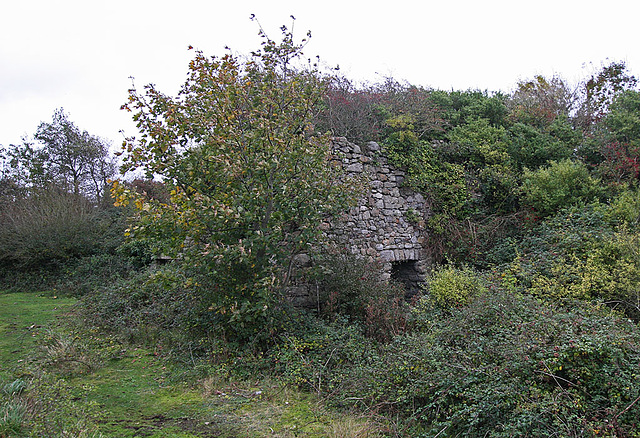 Llanfawr limekiln