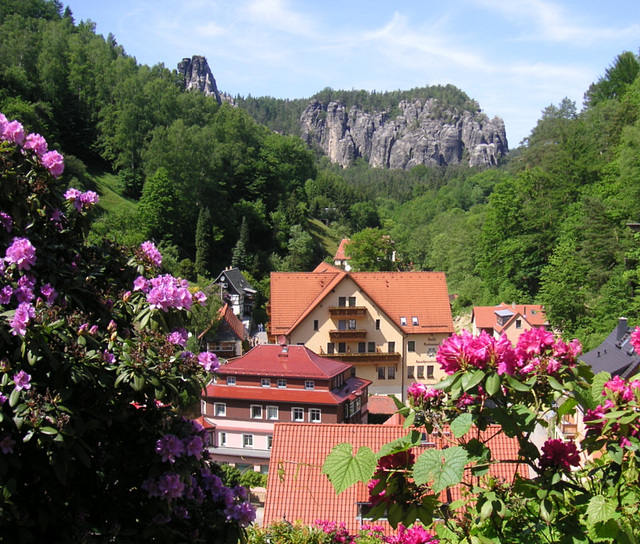 Blick auf Rathen