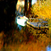 Reflet de rivière et fleurs de rive / River reflection and bank flowers - Ängelholm / Suède / Sweden.  23 octobre 2008-  Chaloupe psychédélique