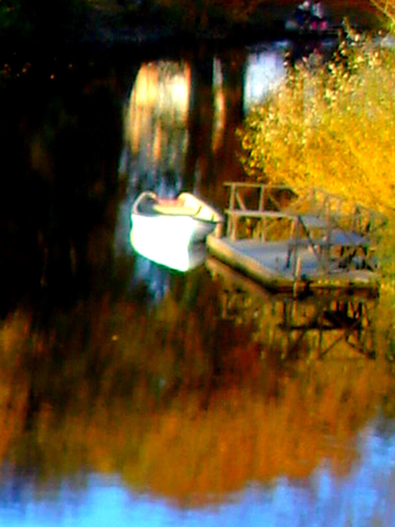 Reflet de rivière et fleurs de rive / River reflection and bank flowers - Ängelholm / Suède / Sweden.  23 octobre 2008-  Chaloupe psychédélique