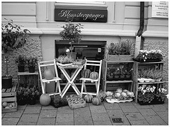 Délice visuel d'un trottoir Blomsterganten /  Blomsterganten sidewalk display - Noir et blanc