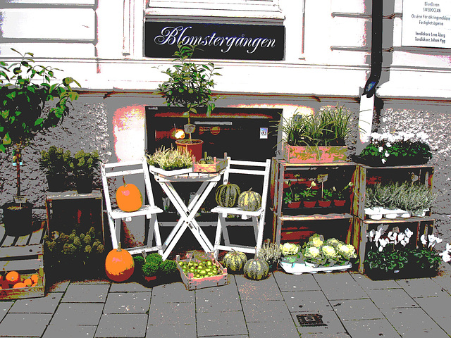 Délice visuel d'un trottoir Blomsterganten /  Blomsterganten sidewalk display - Postérisée