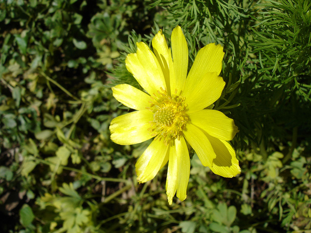 Frühling im Eichthal