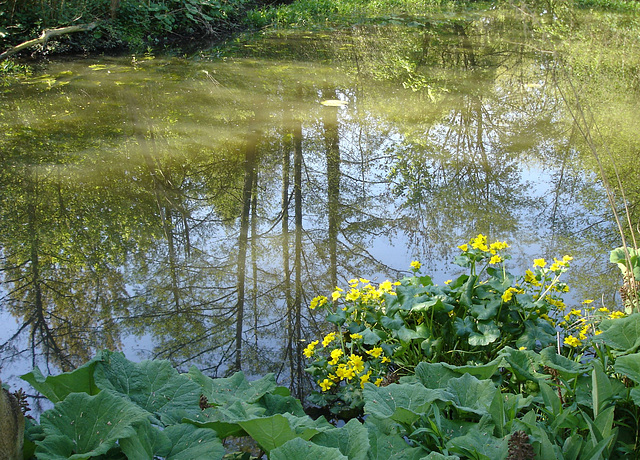 Frühling im Eichthal