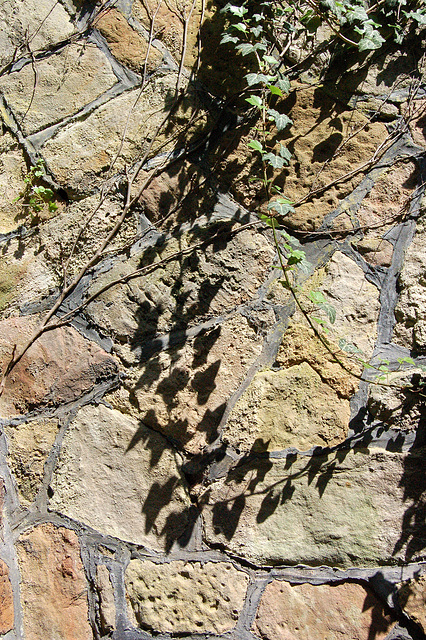 ombroj sur la muro - shadows on the wall