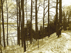 -Paysages d'hiver à proximité de l'abbaye de St-Benoit-du-lac au Québec .  7 Février 2009 Sepia