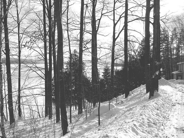 Paysages d'hiver à proximité de l'abbaye de St-Benoit-du-lac au Québec / 7 Février 2009 - B & W