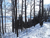 Paysages d'hiver à proximité de l'abbaye de St-Benoit-du-lac au Québec .  7 Février 2009