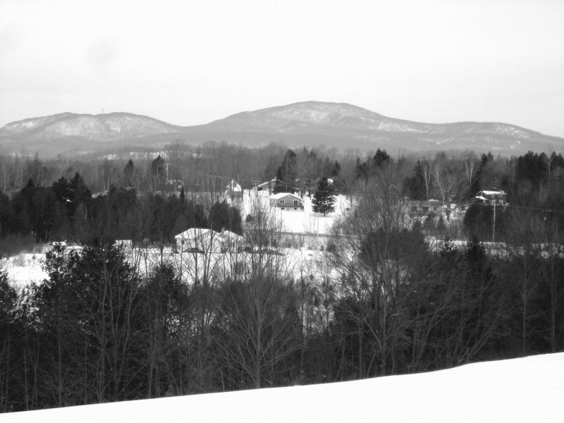 Les alentours de l'abbaye / The outskirts of the abbey  -  St-Benoit-du-lac au Québec .   7 Février 2009   - B & W