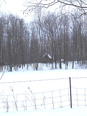 Les alentours de l'abbaye / The outskirts of the abbey  -  St-Benoit-du-lac au Québec .   7 Février 2009