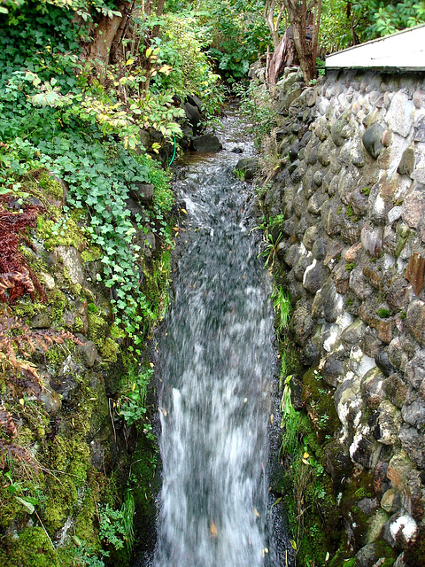 Maison /  House  No-50.   Båstad -  Suède  /  Sweden.  21-10-2008  - Petite cascade - small waterfall