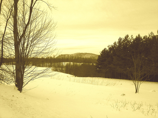 Les alentours de l'abbaye / The outskirts of the abbey  -  St-Benoit-du-lac au Québec .   7 Février 2009 -  Sepia