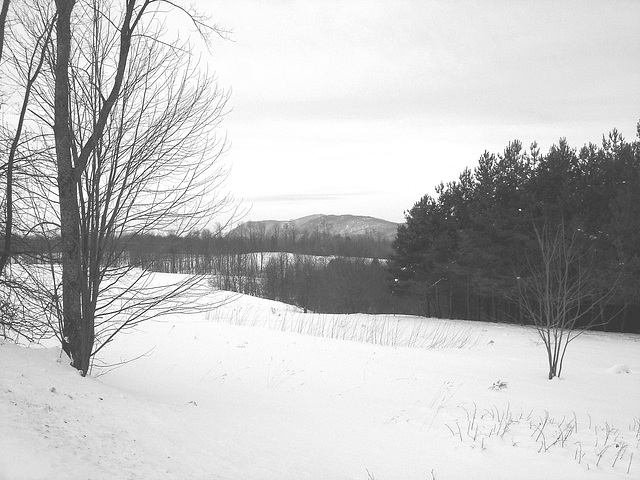 Les alentours de l'abbaye / The outskirts of the abbey  -  St-Benoit-du-lac au Québec .   7 Février 2009  - B & W