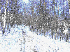 Paysages d'hiver à proximité de l'abbaye de St-Benoit-du-lac au Québec .  7 Février 2009- Colourful outlines /  Contours de couleurs