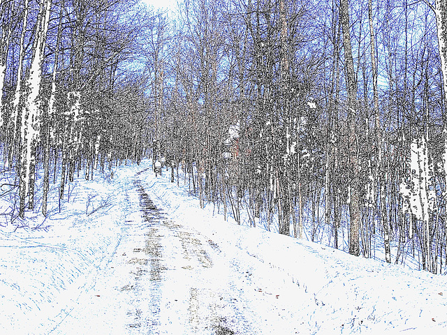 Paysages d'hiver à proximité de l'abbaye de St-Benoit-du-lac au Québec .  7 Février 2009- Colourful outlines /  Contours de couleurs